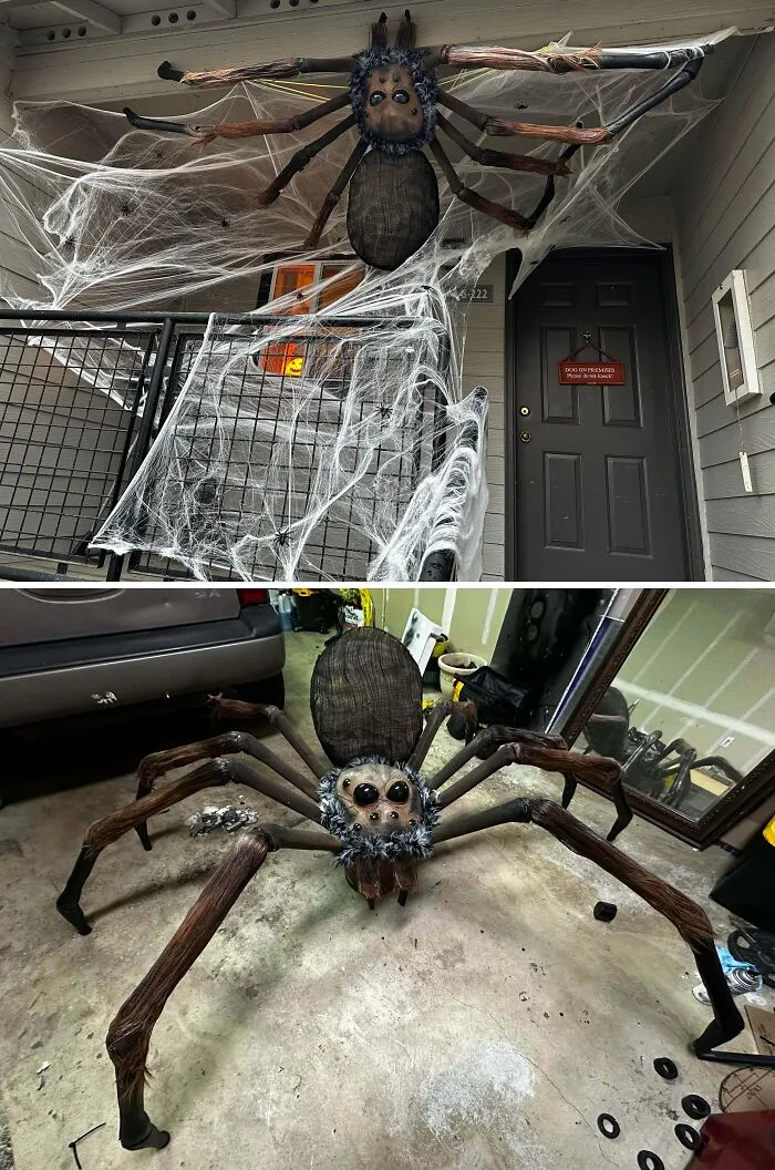 I Made A Giant Spider For My Apartment Complex’s Decorating Contest