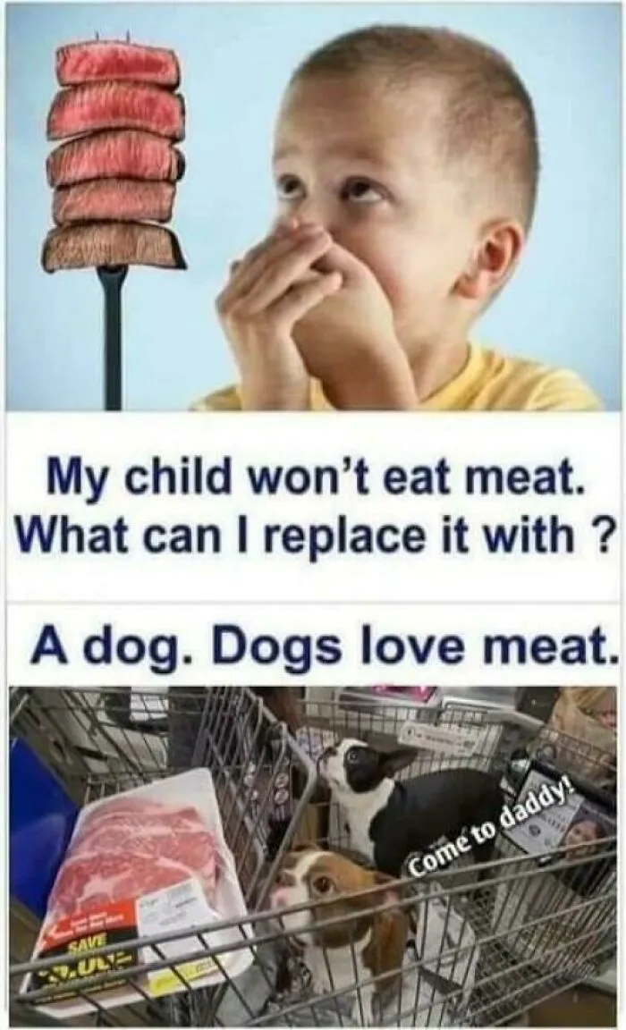 They Absolutely Do