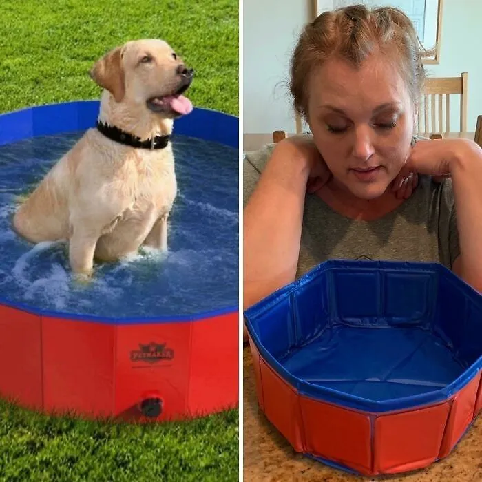 Piscina para perros "extra grande"