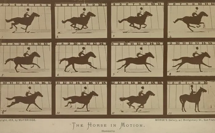 Sequential photos of a horse in motion captured using early photography techniques from the time when photography was new.