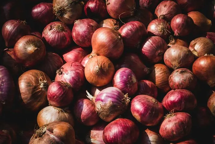 Onions Were Used To Measure How Deep Stomach Wounds Were