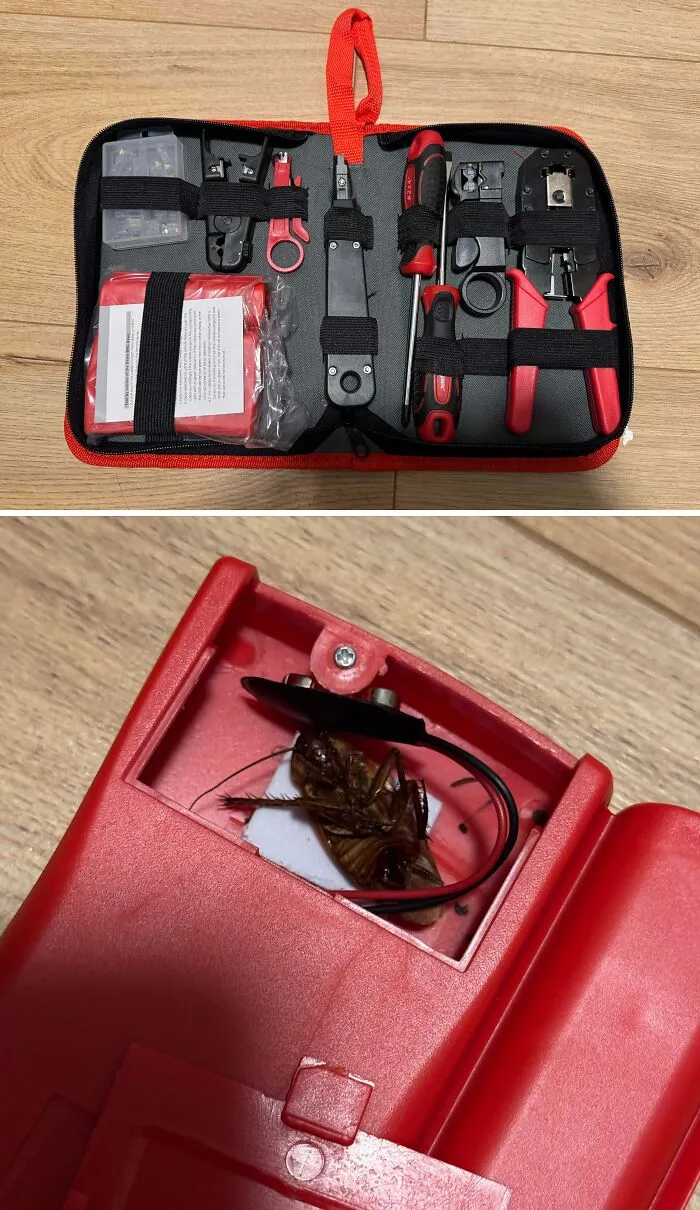 Kit de herramientas comprado en línea versus sorpresa inesperada dentro del estuche, ejemplo de compras online fallidas.