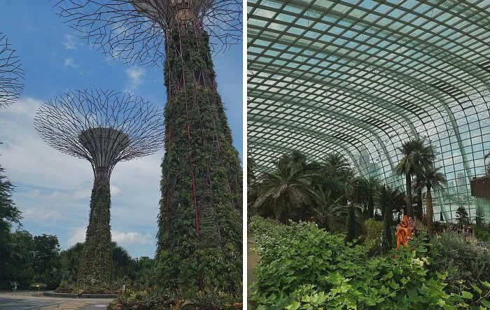The Singapore Botanic Gardens - Singapore