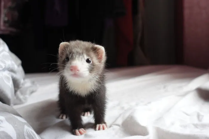 I Think This Is The Only Time She's Stood Still For Me To Take A Photo. Baby Socks