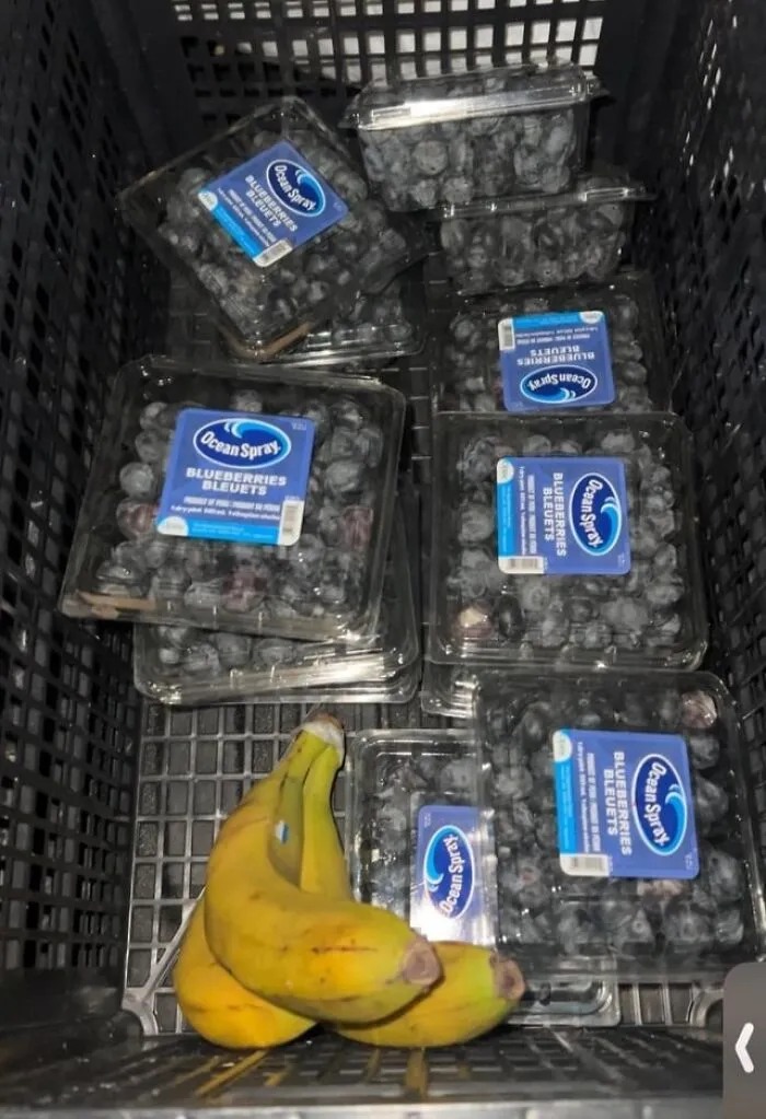 Gonna Turn Blue From All These Blueberries 🫐