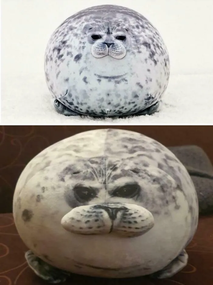 Two round seal plush toys showing a funny example of careless online shopping backfired with unrealistic product design.