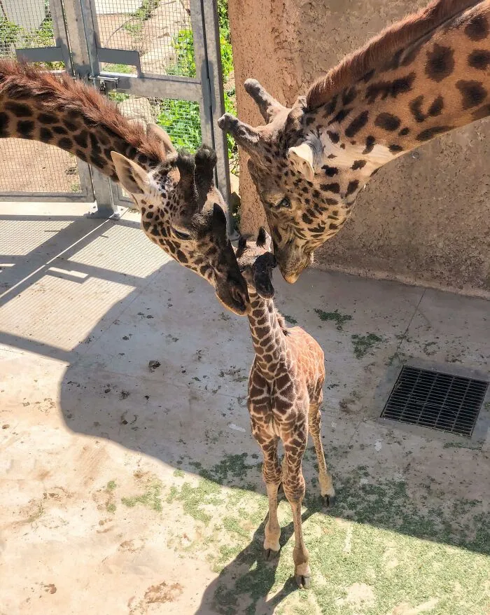 First Family Photo - Santa Barbara Zoo