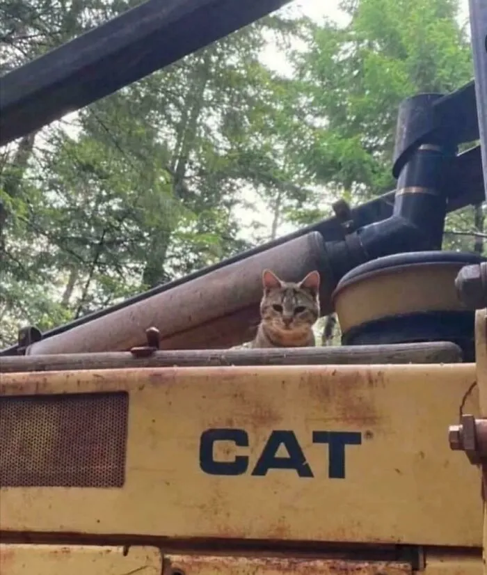 This Online Group Is Dedicated To Pics That "Go Hard," Here Are 50 That Made People Laugh The Most