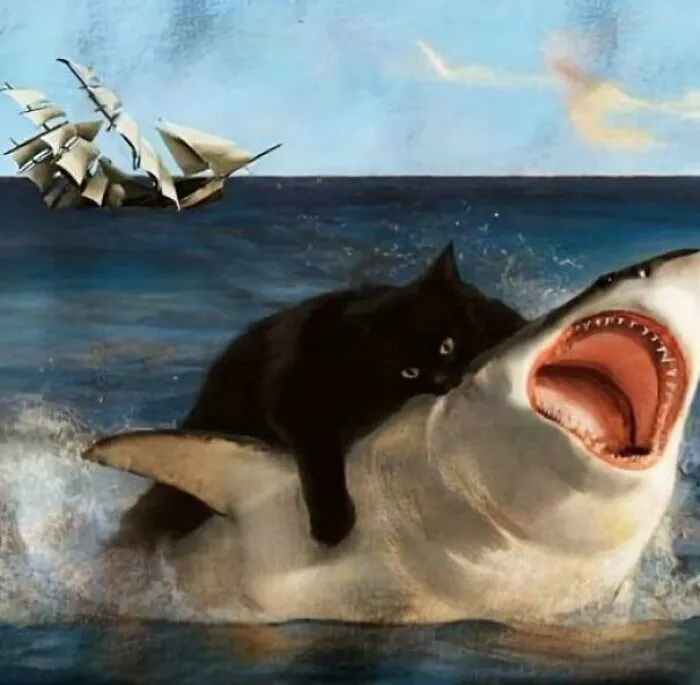 Black cat riding a shark in the ocean near a sailing ship, a humorous picture that goes hard and makes people chuckle.