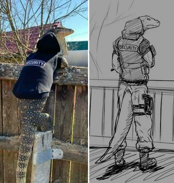 Lizard wearing a security hoodie climbing a fence next to a sketch of an anthropomorphic lizard security guard.