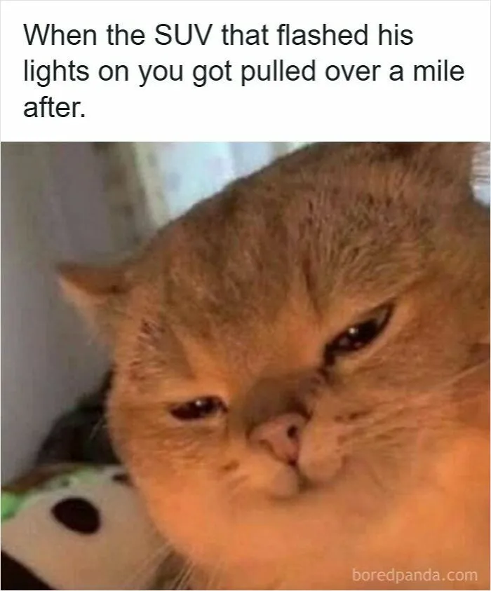 50 Hilarious Driving Memes That Explain Why Road Rage Exists