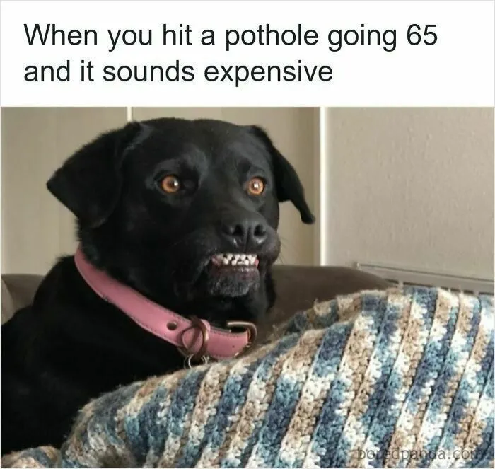 50 Hilarious Driving Memes That Explain Why Road Rage Exists