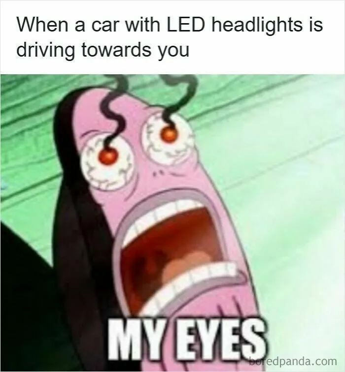 50 Hilarious Driving Memes That Explain Why Road Rage Exists