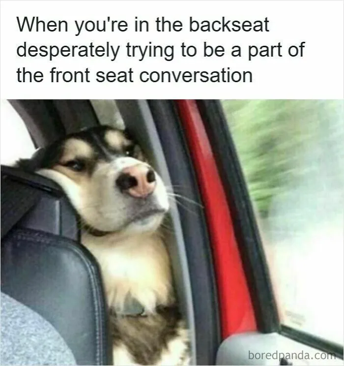 50 Hilarious Driving Memes That Explain Why Road Rage Exists