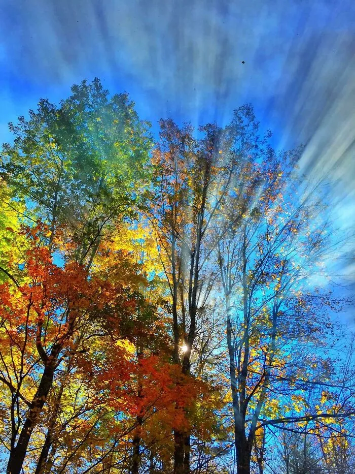 Fall In Vermont