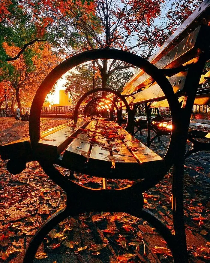 Fall Through A Bench In Battery Park, NYC
