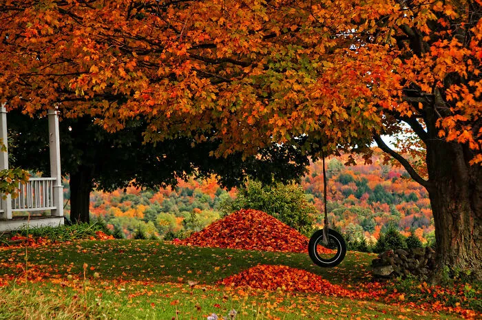 Fall In Full Swing