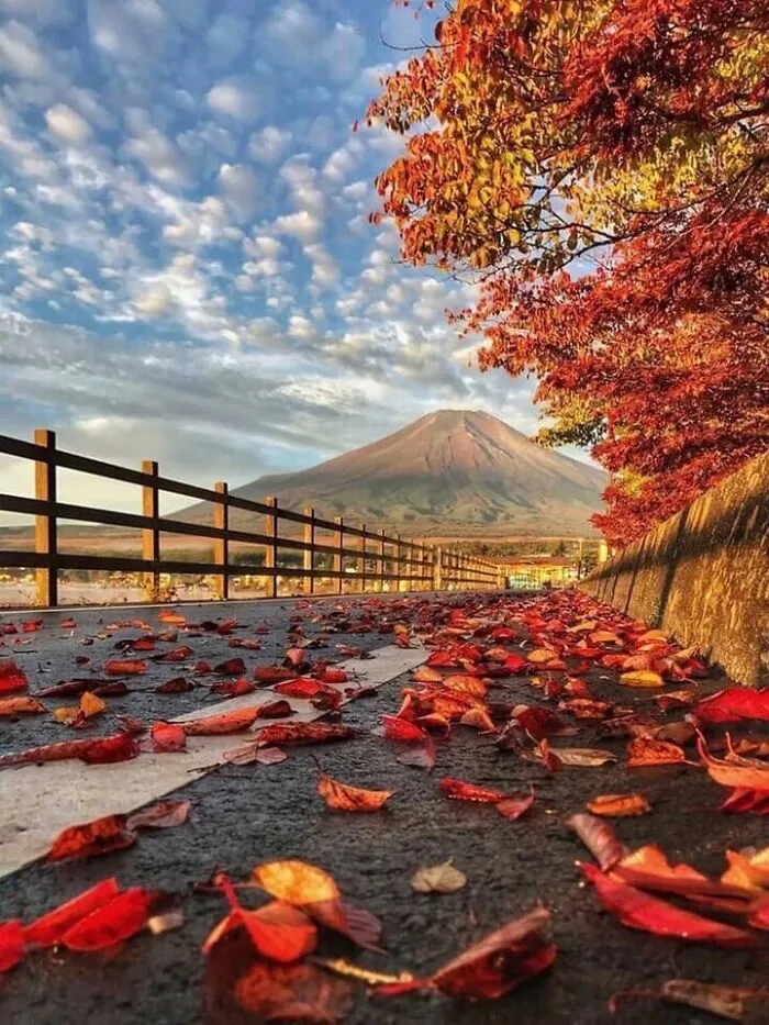 Mt. Fuji In Japan During Autumn