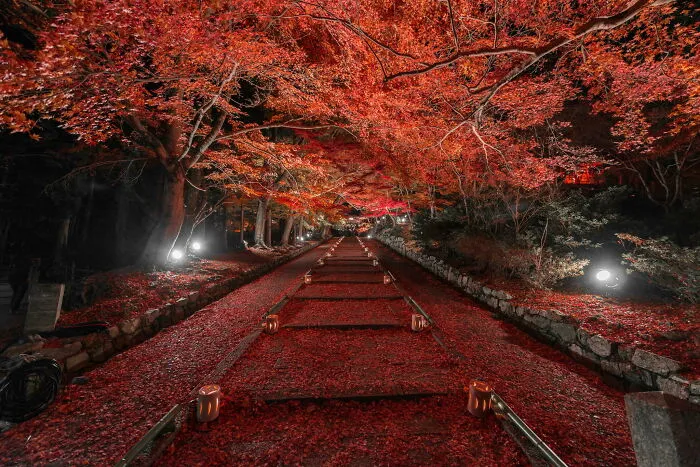 Autumn In Kyoto, Japan
