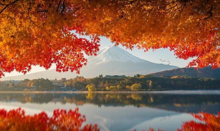 Mount Fuji In Autumn Sunrise