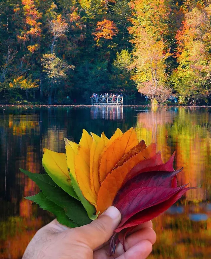 The Colors Of Autumn