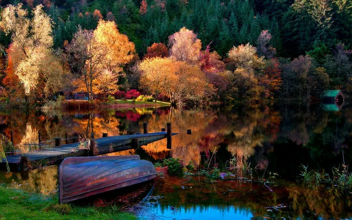 Autumn