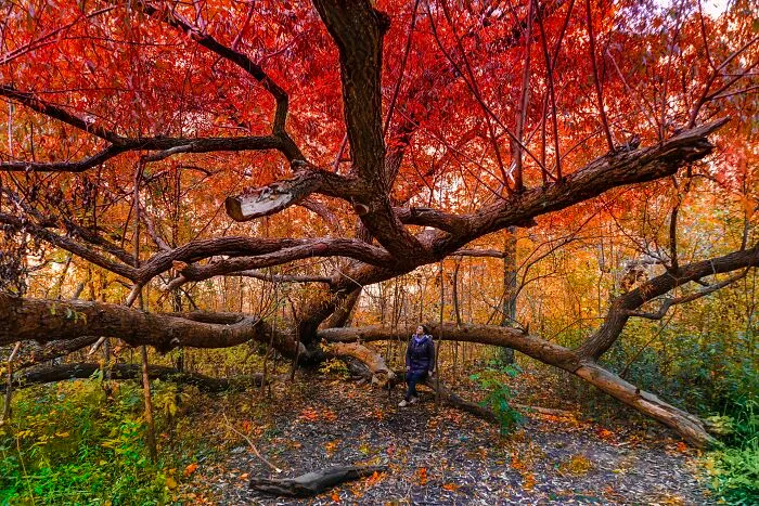 Itap Of An Autumn Gradient