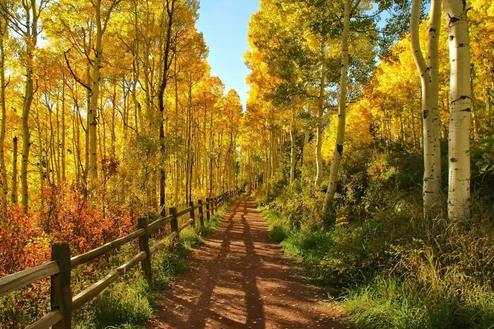 Itap Of Telluride, Co In Autumn