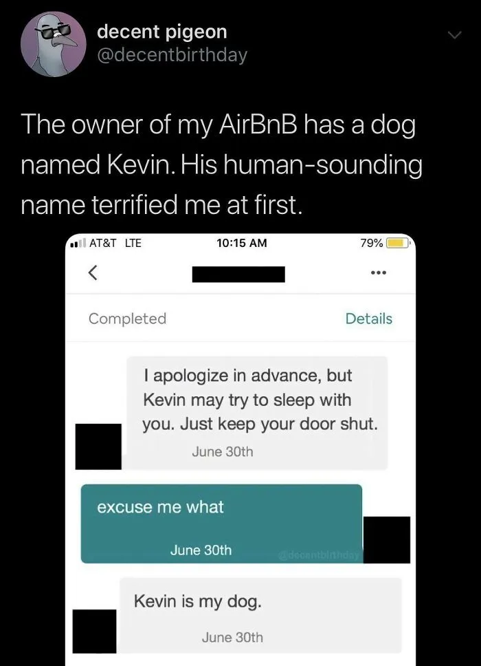 Kevin Is A Dog
