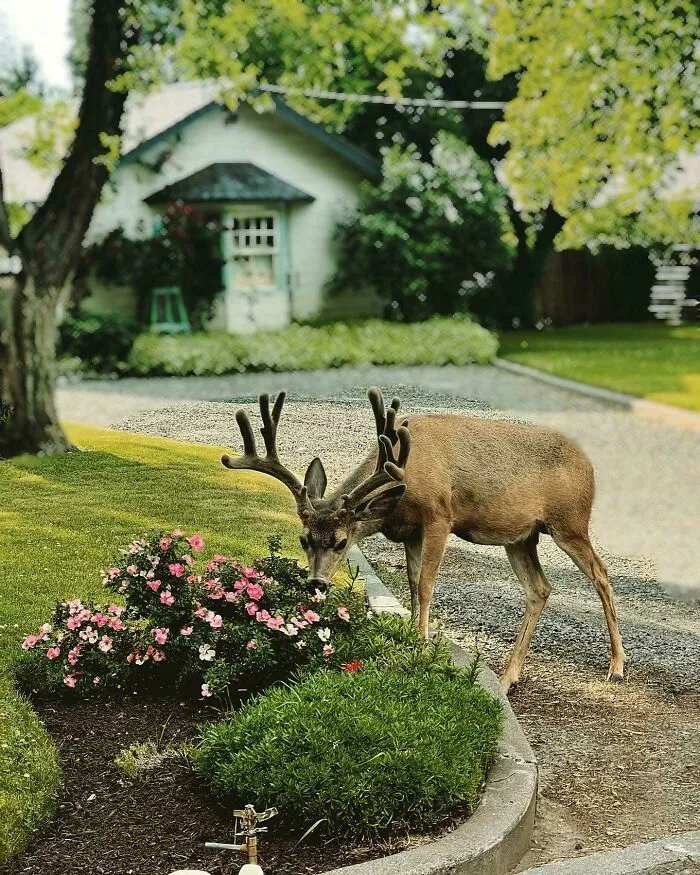 Este momento perfecto para sacar la foto