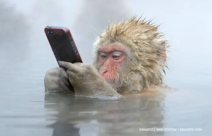 This Account Shares Some Of The Most Beautiful Wildlife Photos Ever Taken (25 Pics)