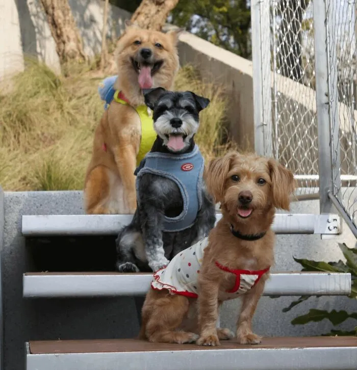We Got The 3 To Pose
