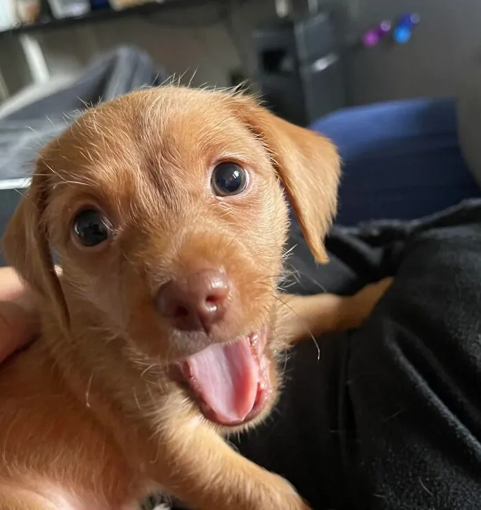 Here’s Celeste And Her Best Smile