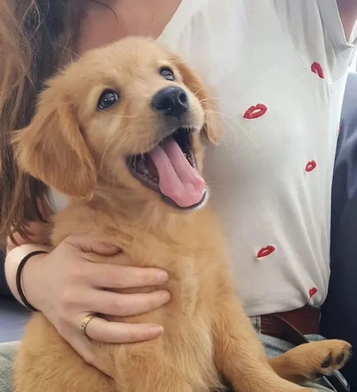 New Home, New Smile! Our Pup's First Grin 🐶✨