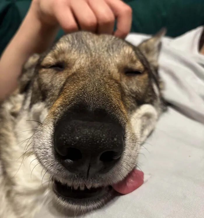 Our Happy Little Baby