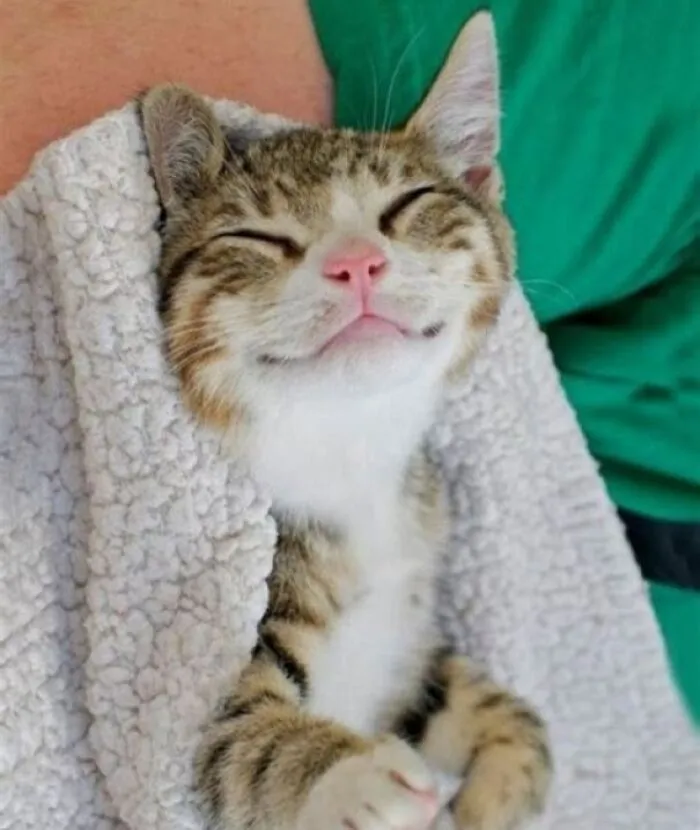 Warm Blanket :)