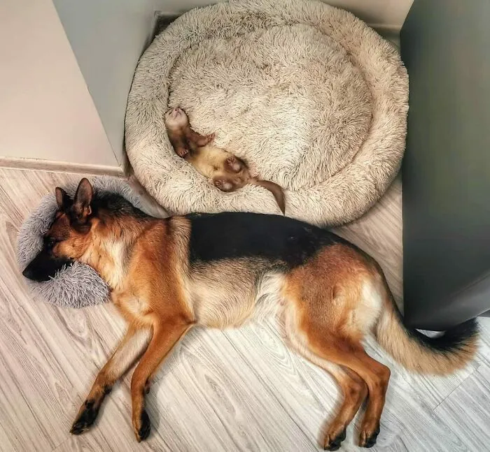 Best Friends