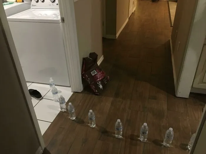Mis hijos vinieron y me dijeron que salía agua del lavadero. Dijeron que parecía que venía de la lavadora. Corrí y encontré esto.