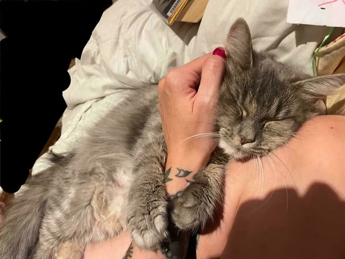 Blueberry’s First Night Home