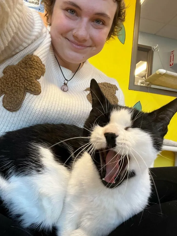 Adopting My First Cat!