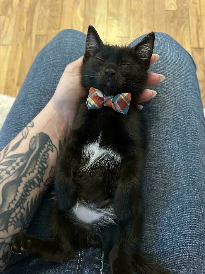 Look At My Handsome New Son!