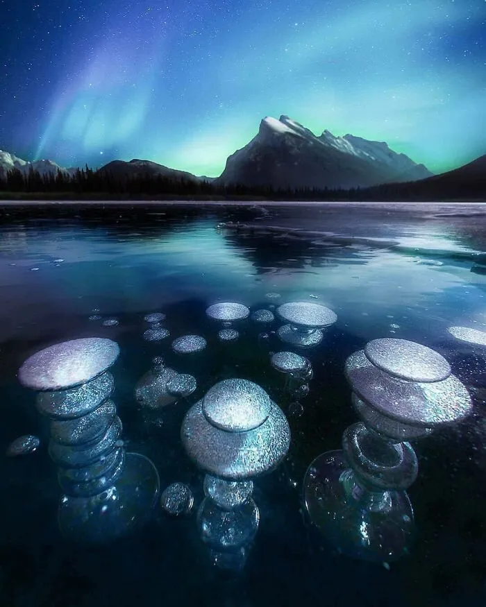 Este fenómeno ocurre cuando el hielo se congela y el gas metano queda atrapado, creando texturas y burbujas increíbles.