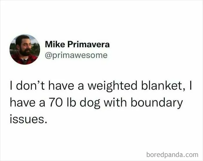 “People Are Awful”: 50 Hilarious Tweets Posted By A Writer With Impeccable Humor