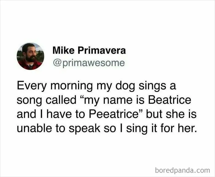 “People Are Awful”: 50 Hilarious Tweets Posted By A Writer With Impeccable Humor