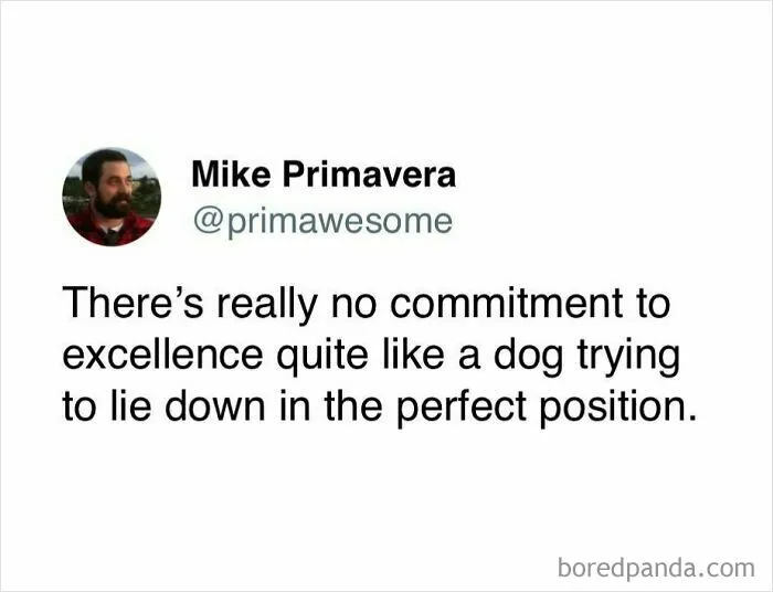 “People Are Awful”: 50 Hilarious Tweets Posted By A Writer With Impeccable Humor