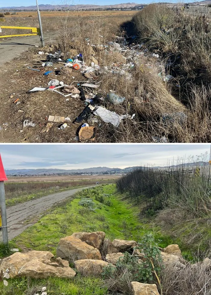 On Christmas, I Returned To A Place I Had Cleaned Up A Year Ago. Nature Has Reclaimed Back Its Land. This Is A Successful Cleanup I Will Cherish Forever