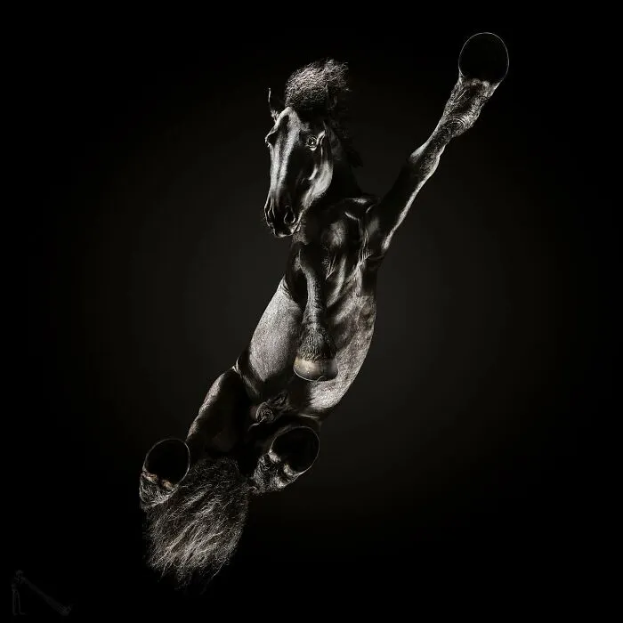 From Cats To Horses: 44 Captivating Photos Taken From Underneath