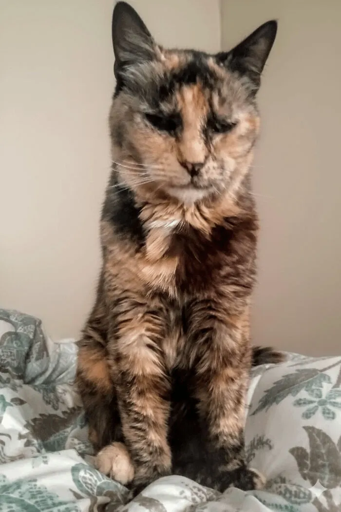 Helen (~15)