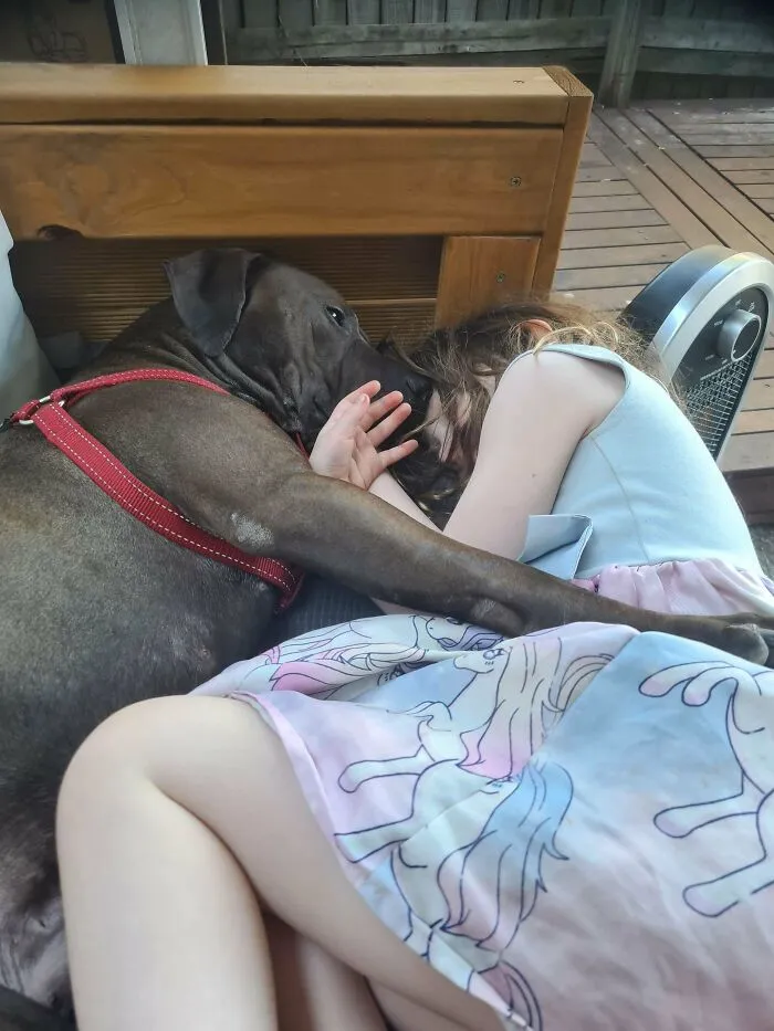 So Impressed With Our New Boy