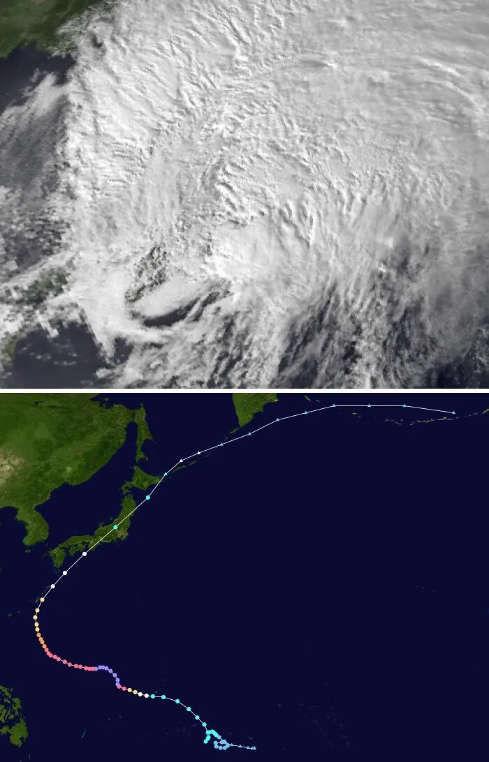 The Largest Tropical Cyclone Was Typhoon Tip